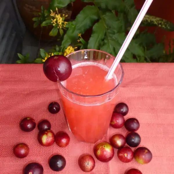 refresco de camu camu
